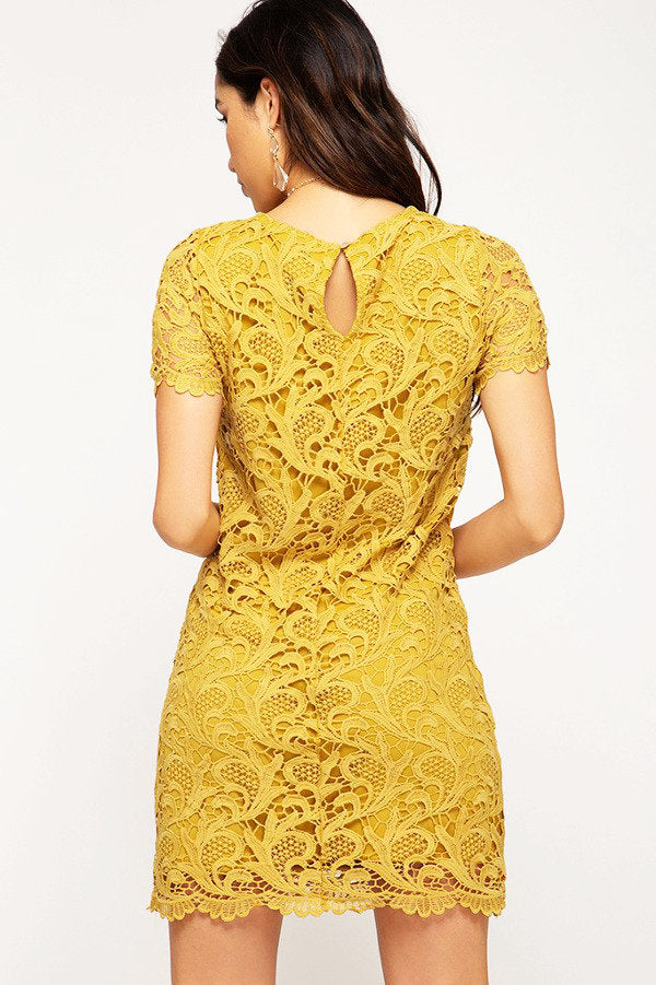 Give Me A Lifetime Lace Dress Mustard Sweet Southern Shore