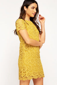 Give Me A Lifetime Lace Dress - Mustard
